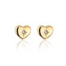 brinco_coracao_com_ponto_de_zirconia_banhado_a_ouro_1017_1_e9dc53ad0f138073045a5f809c9bc2b8